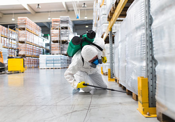 pest-control-commercial-rockymountainbps-pest