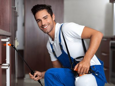 Pest Control Services