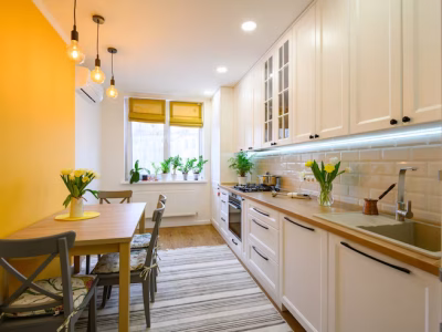 Residential Pest Control Services